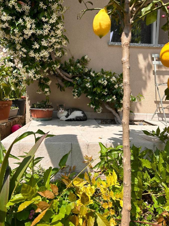 Bea Trees - Lake Garda プエニャーゴ エクステリア 写真